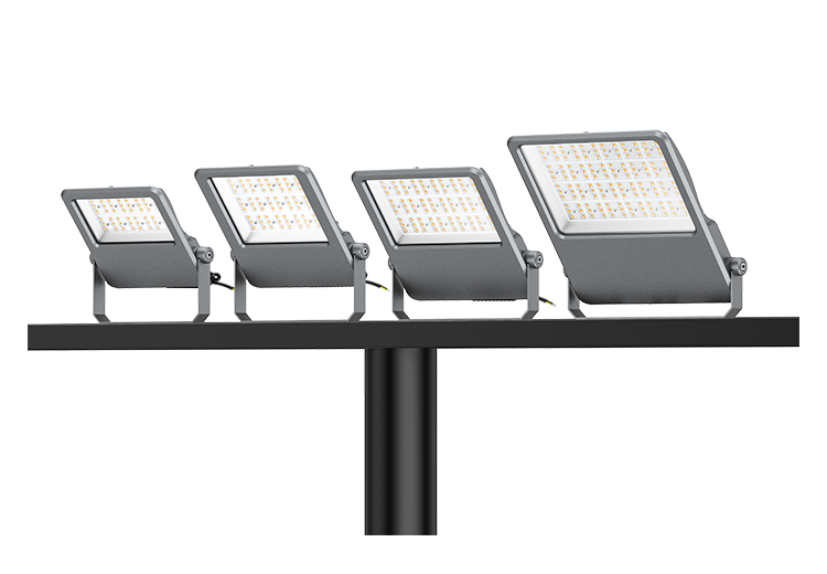 100-300W FLE SERIES LED Flood Light
