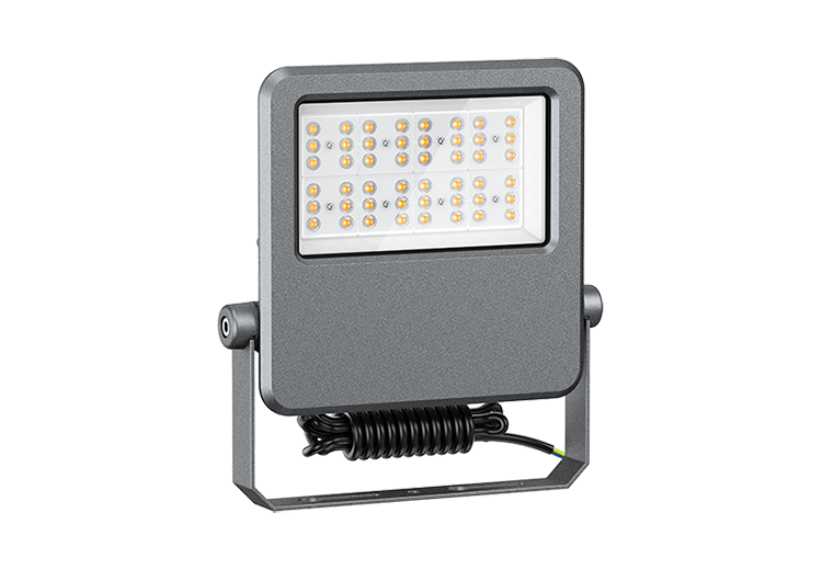 100W-1 FLE SERIES LED Flood Light
