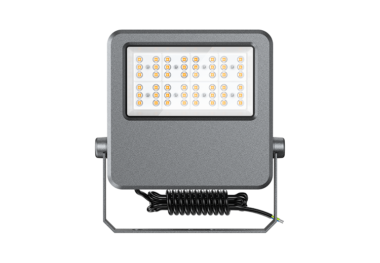 100W-2 FLE SERIES LED Flood Light