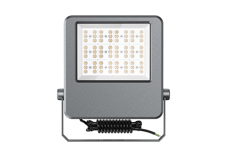 150W-2 FLE SERIES LED Flood Light