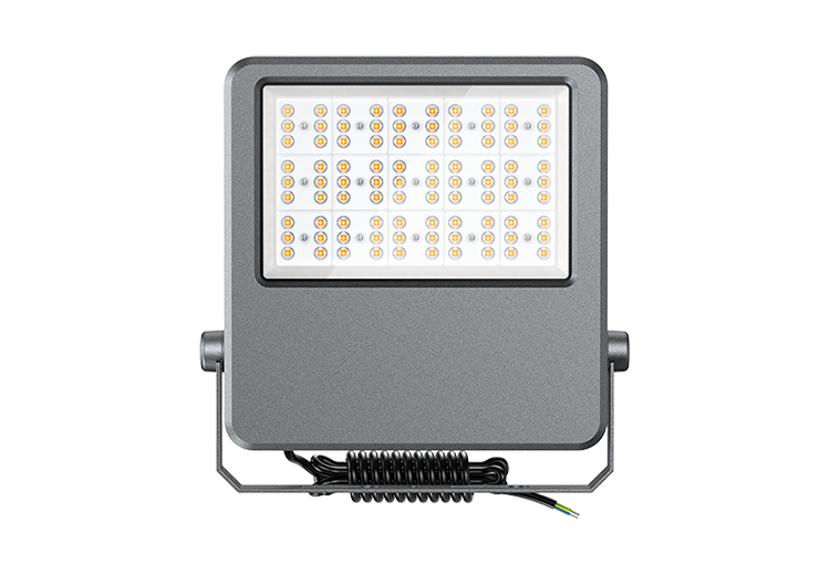 200W-2 FLE SERIES LED Flood Light