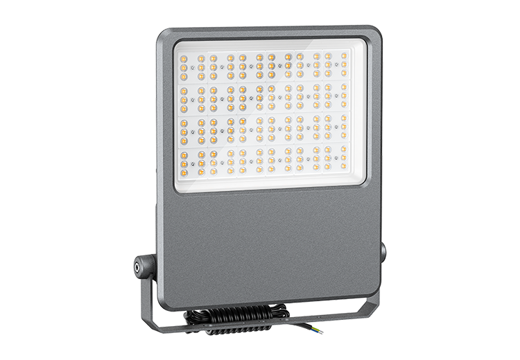 300W-1 FLE SERIES LED Flood Light