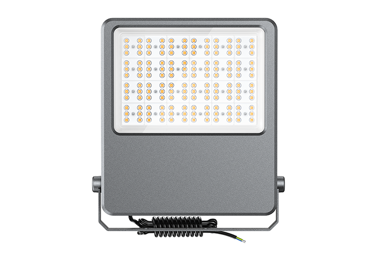 300W-2 FLE SERIES LED Flood Light
