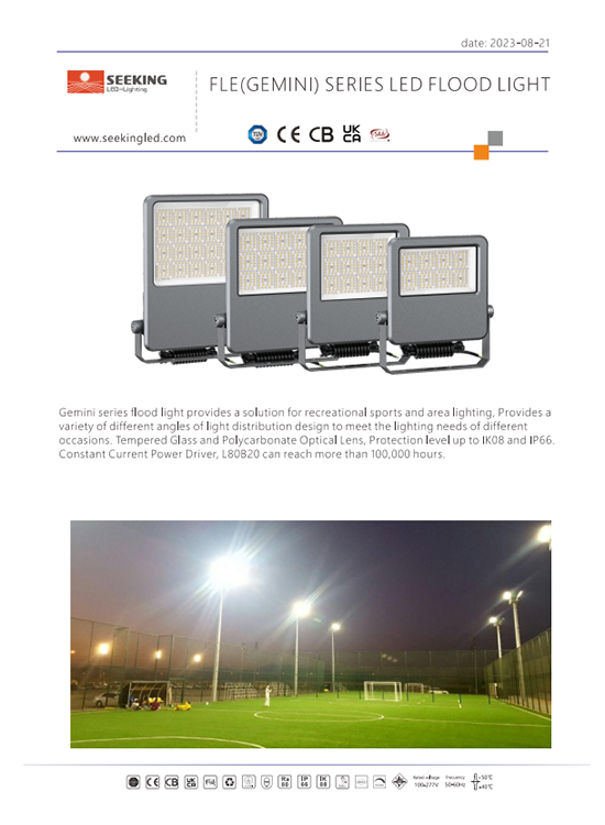 FLE Flood light SPEC