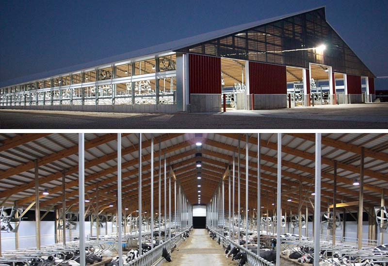 Enhancing Dairy Farm Efficiency with SEEKING LED 200W HBF High Bay Light